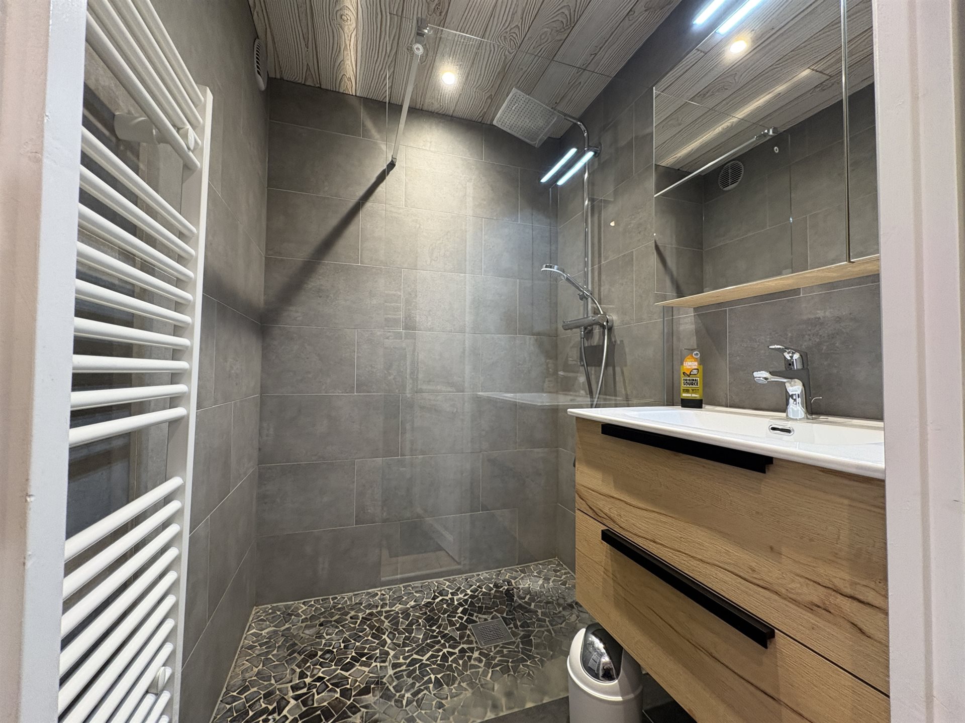 Appartement à vendre, 24m², Châtel