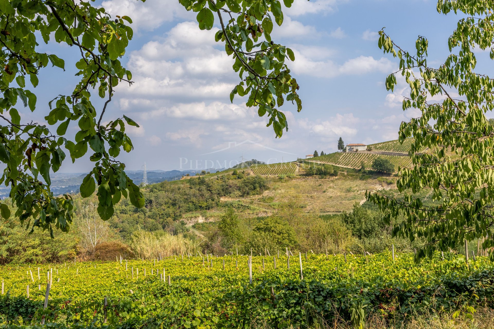 Loazzolo (Asti) photo 3