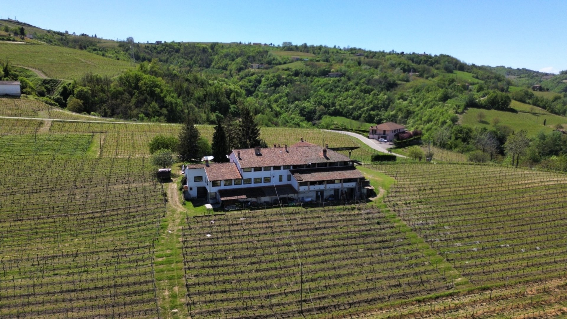 Canelli (Asti) photo 4