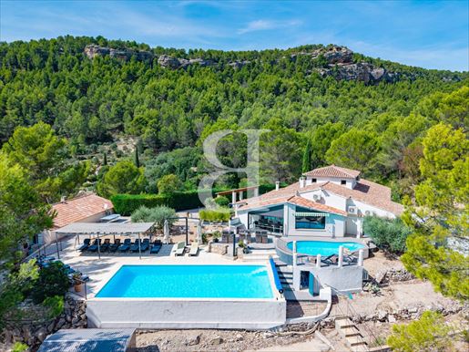 Maison 17 pièces 420 m² · à L'Isle-sur-la-Sorgue · 420 m² · 1 495 000 €