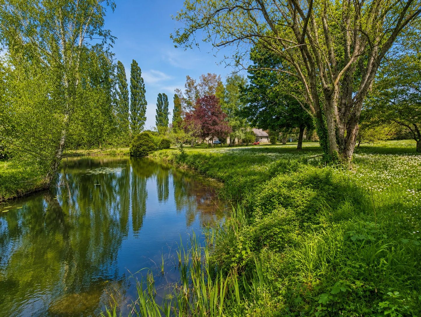 Maison à vendre, 80m², Continvoir
