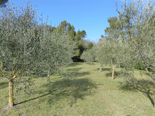 Terrain 1783 m² · à La Roquebrussanne · 1 783 m² · 160 000 €