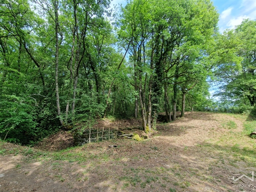 Un coin de Nature à s'approprier ! · à Charentilly · 10 000 €
