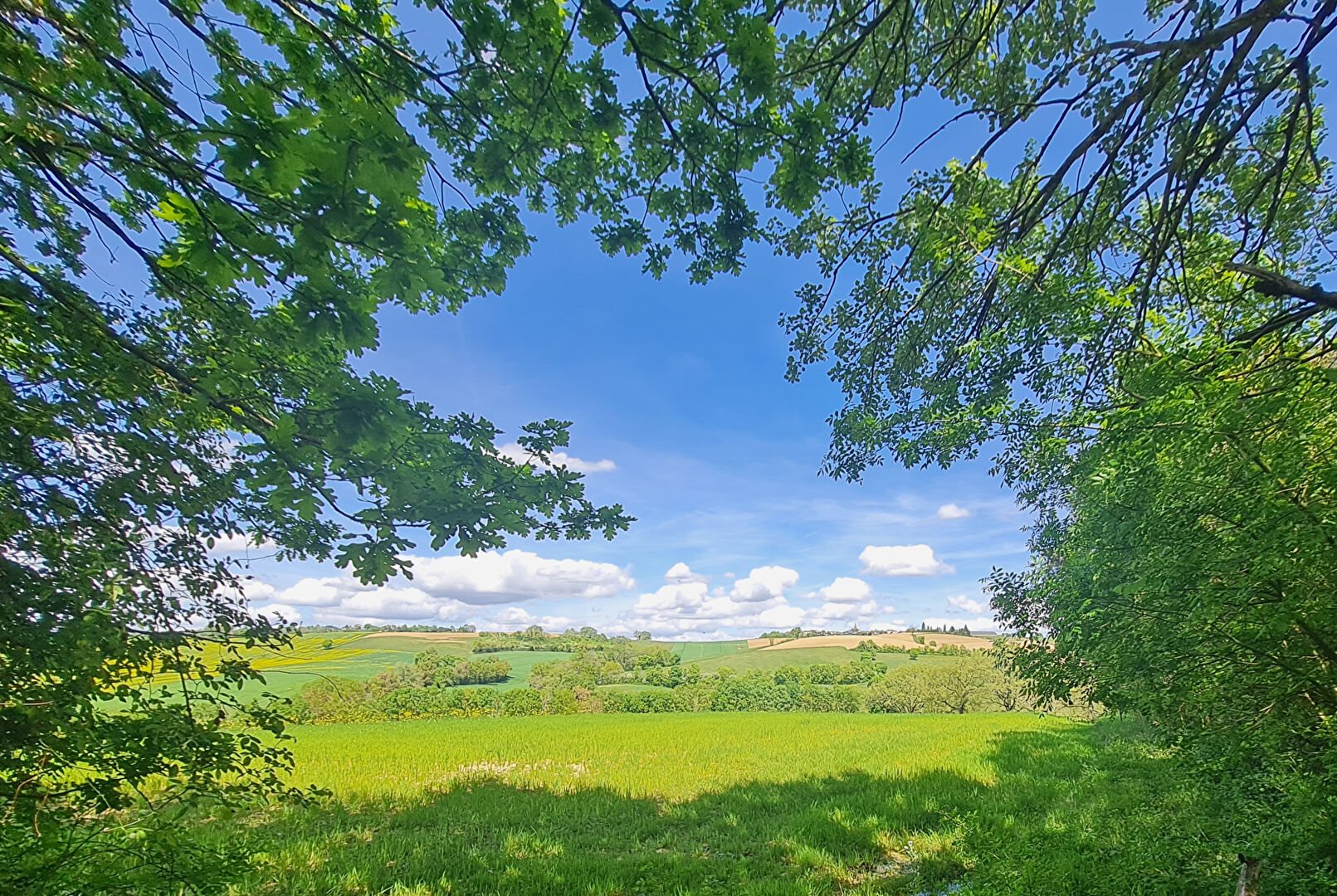 Maison à vendre, 301m², Fleurance