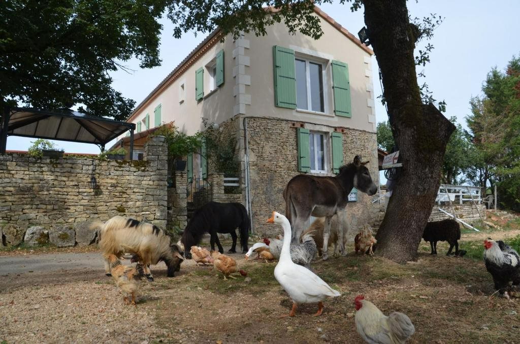 Maison à vendre, 394m², Gabillou