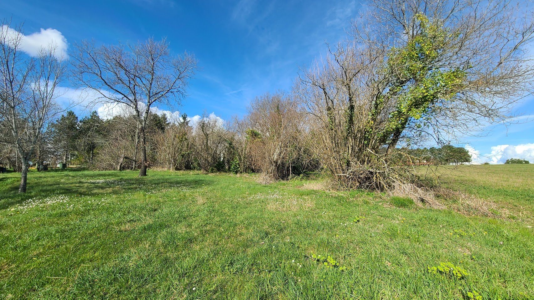 Maison à vendre, 235m², Roquecor