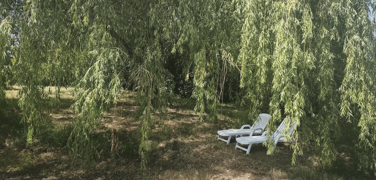 Maison à vendre, 99m², Durfort-Lacapelette