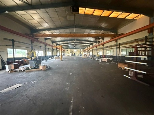 Bien Commercial À Vendre · à Biesles · 500 m² · 320 000 €
