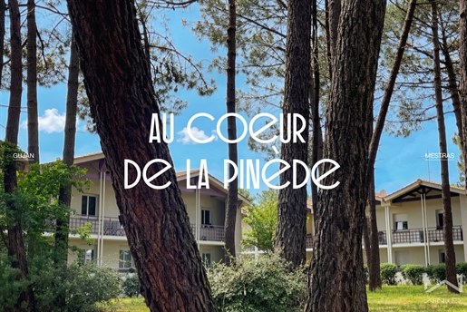 Appartement 2 pièces 42 m² · à Gujan-Mestras · 42 m² · 195 000 €