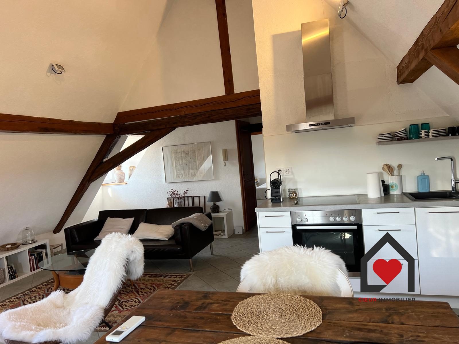 Maison à vendre, 234m², Kembs