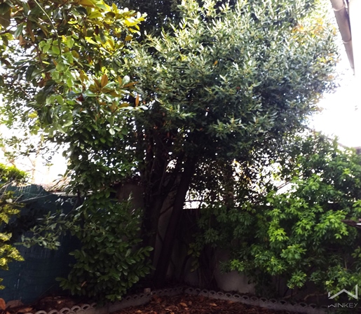 Appartement 4 pièces 47 m² · à Saint-Denis · 47 m² · 273 000 €