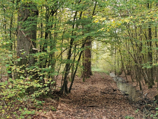 Territoire De Chasse Sur 46Ha · à Gièvres · 20 000 m² · 502 900 €