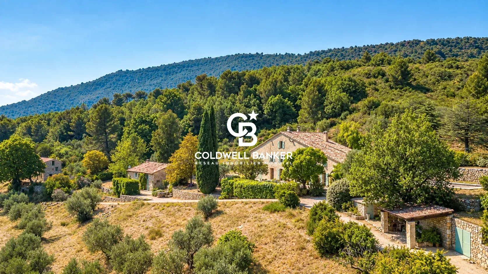 Maison à vendre, 485m², Seillans
