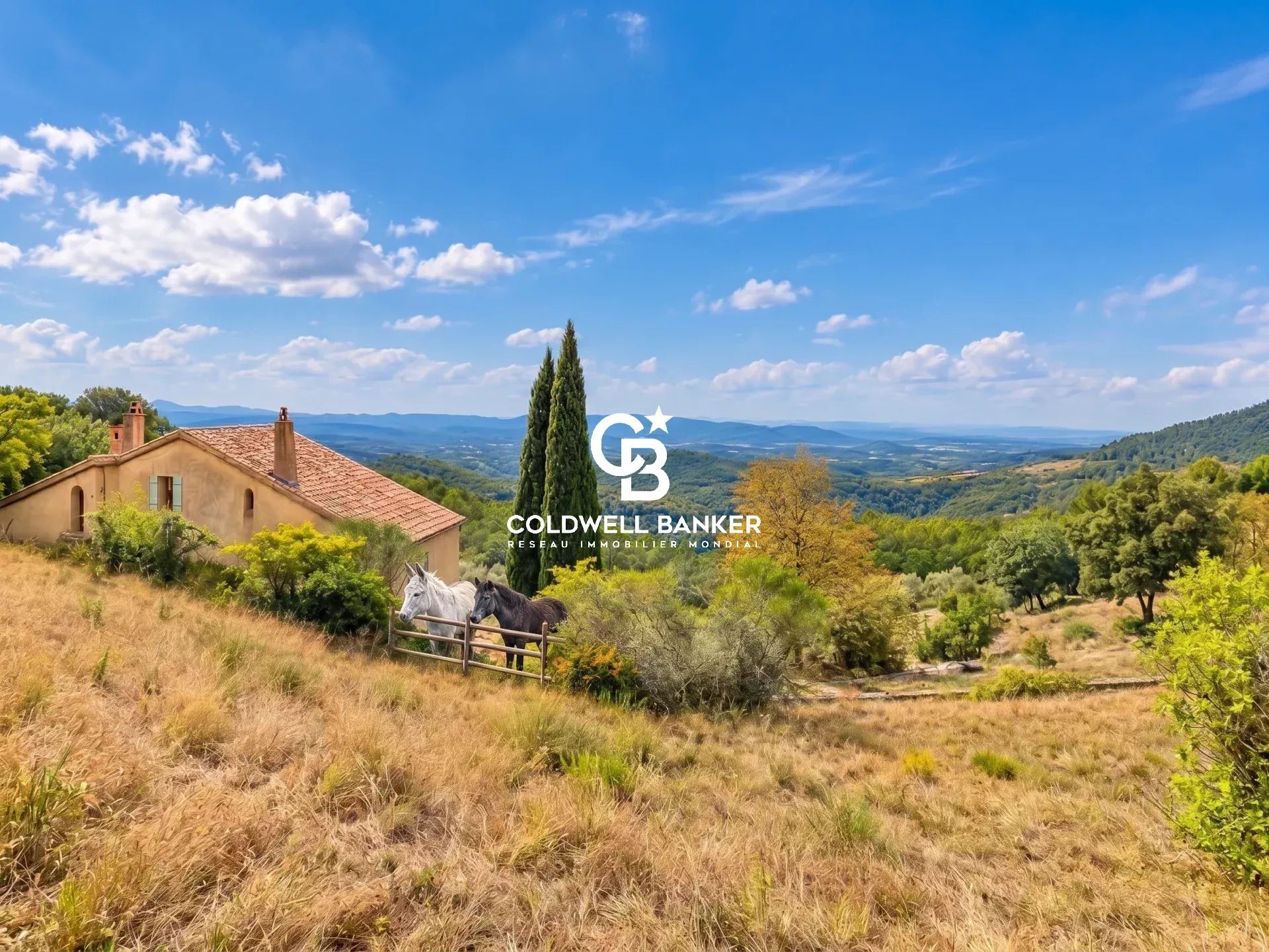 Maison à vendre, 485m², Seillans