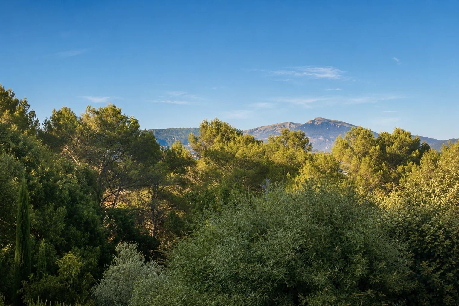 Maison à vendre, 173m², Grasse