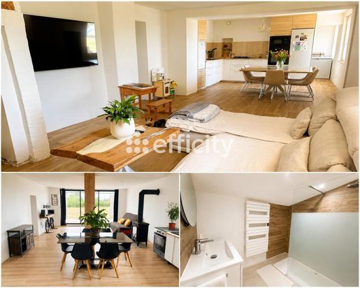 Maison 8 pièces 235 m² · à Florentin · 235 m² · 380 000 €