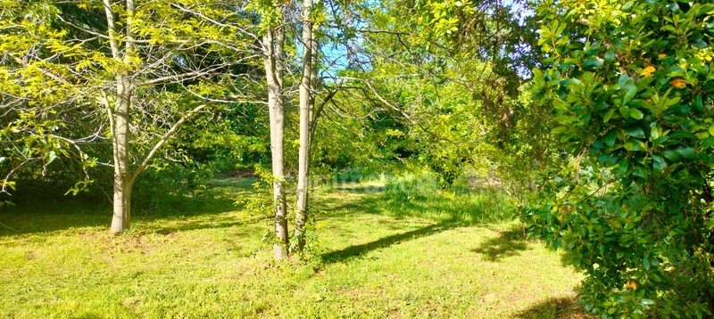 Maison à vendre, 148m², San-Nicolao