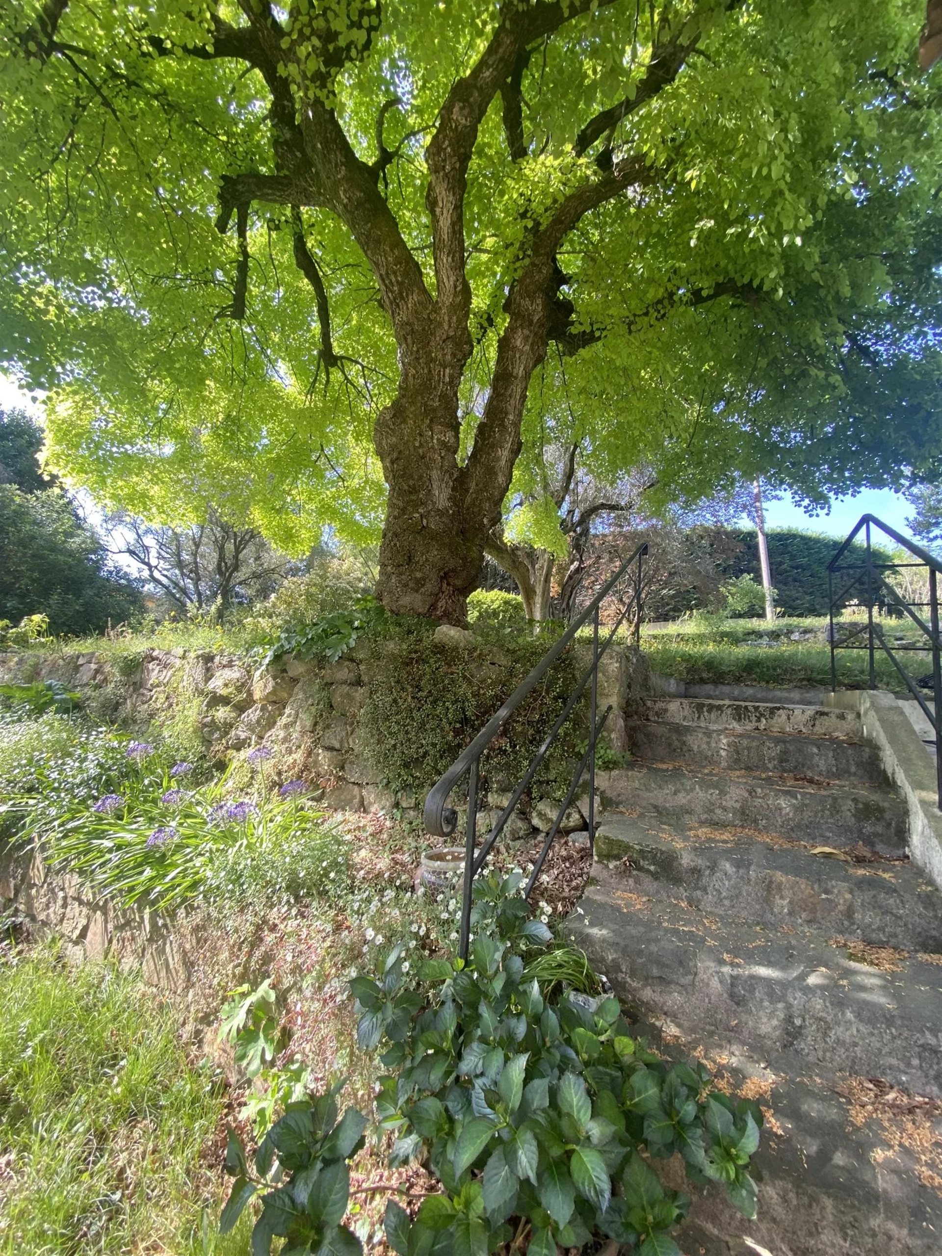 Maison à vendre, 257m², Mougins