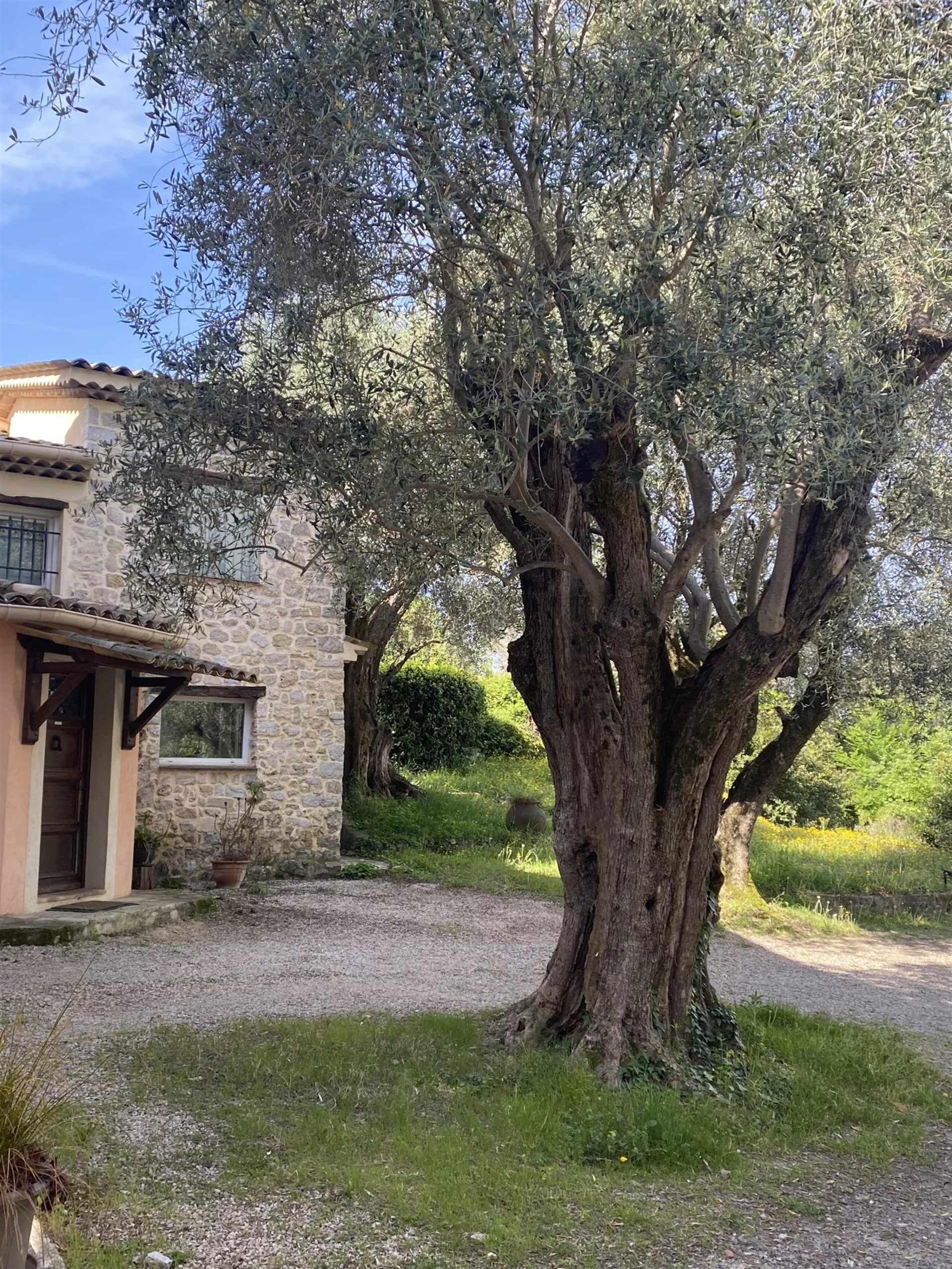 Maison à vendre, 257m², Mougins
