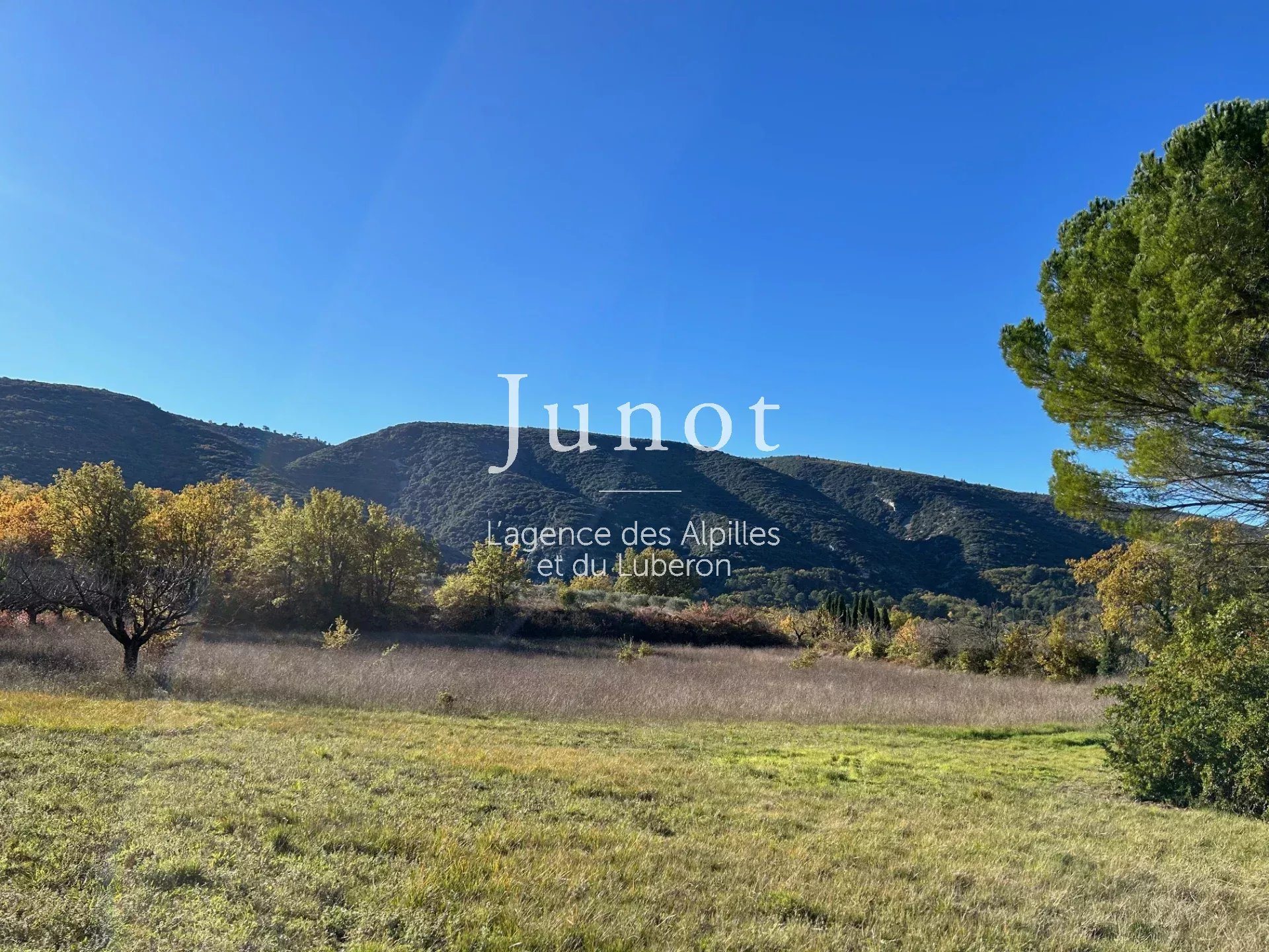Maison à vendre, 150m², Bonnieux
