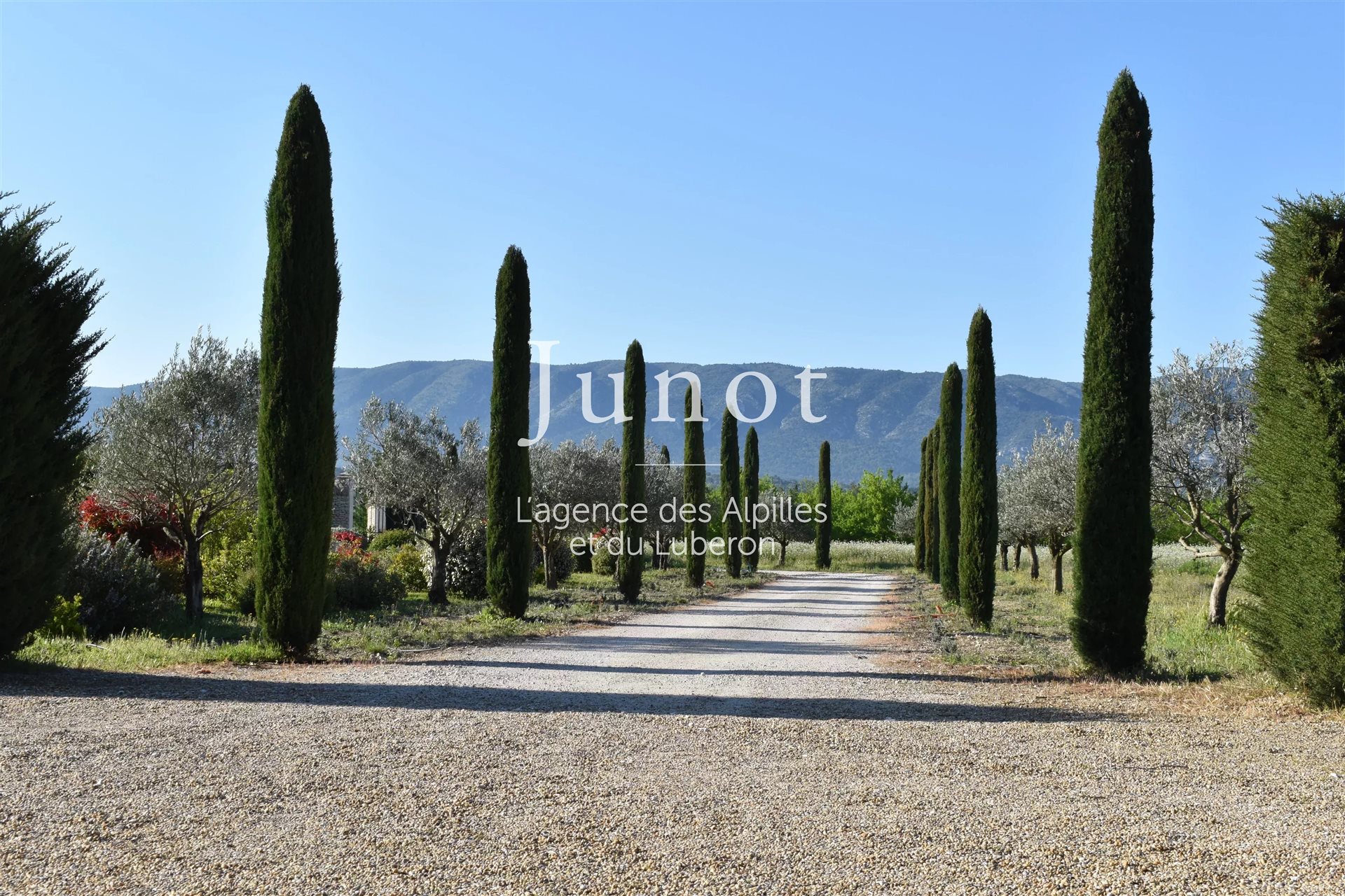 Maison à vendre, 397m², Cabrières-d'Avignon