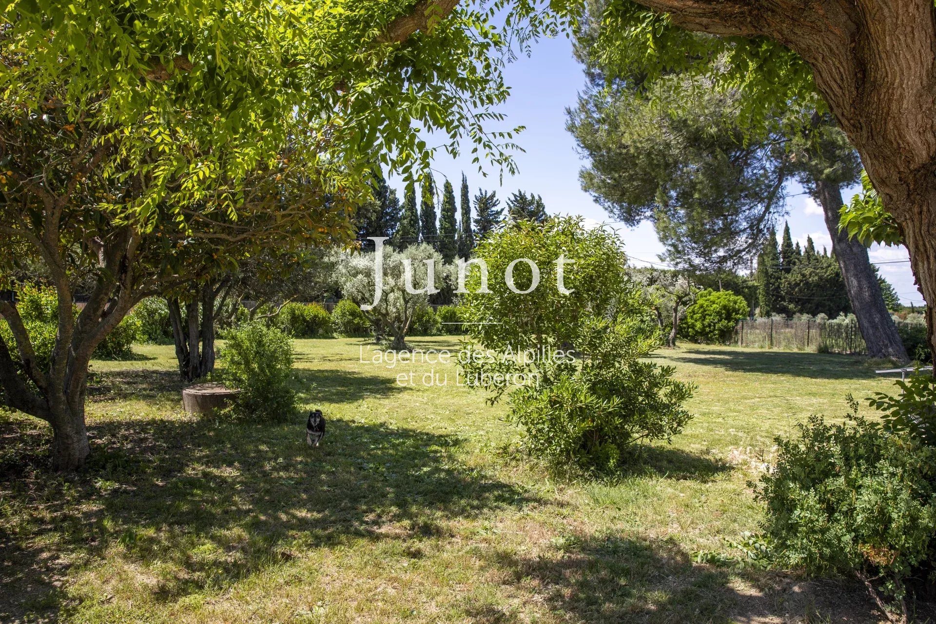 Maison à vendre, 120m², Fontvieille