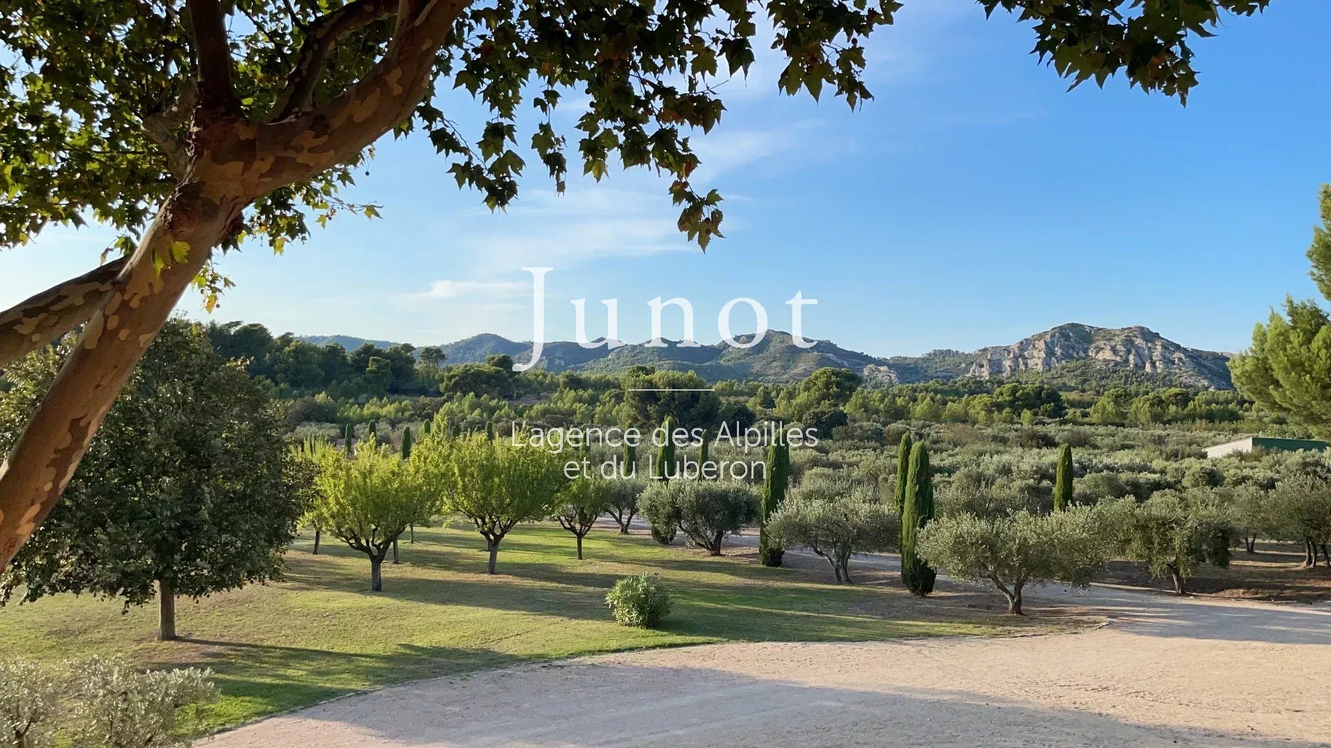 Maison à vendre, 570m², Maussane-les-Alpilles