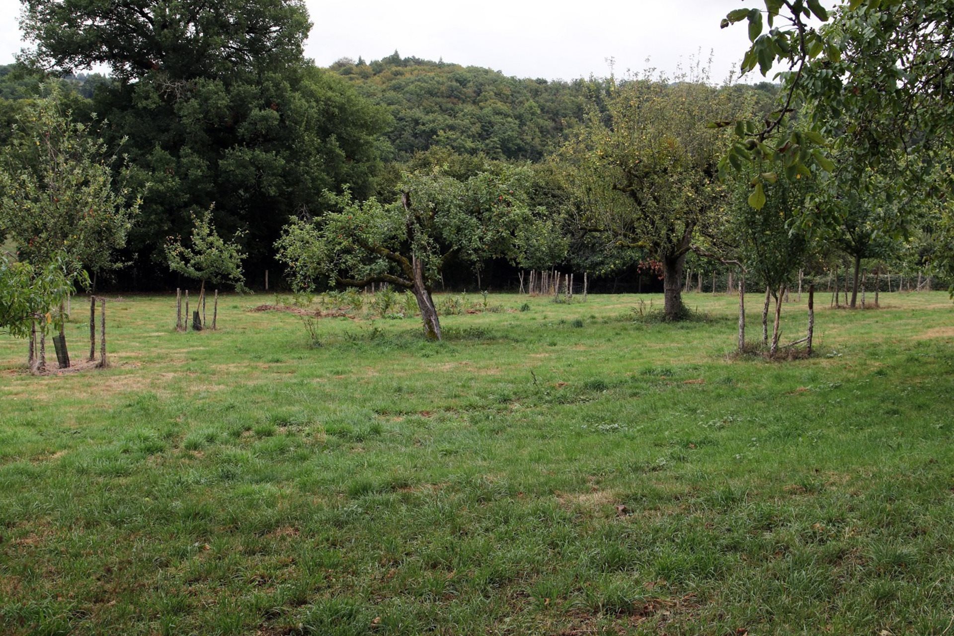Maison à vendre, 220m², Puycapel