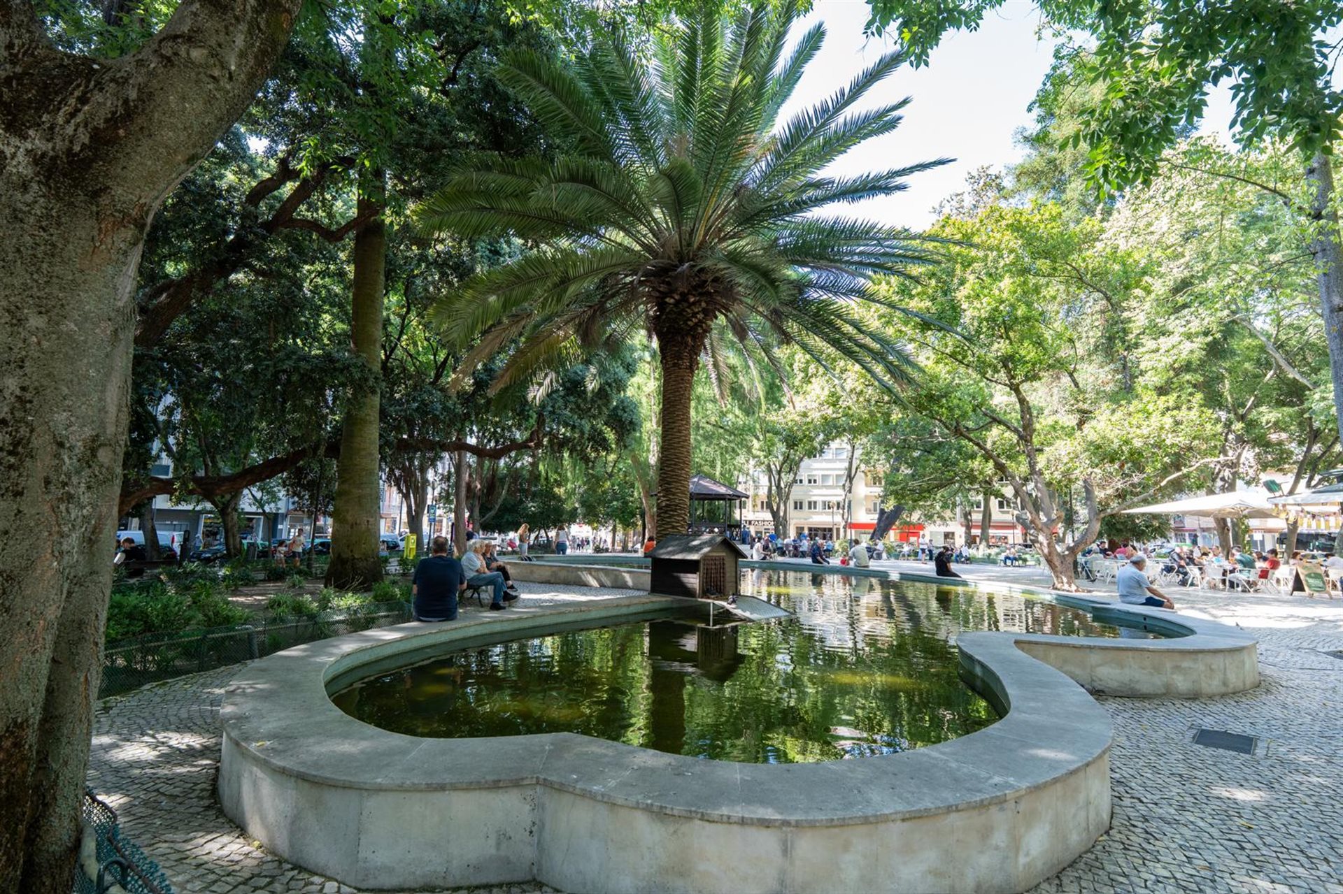 Campo de Ourique (Lisbon) photo 3