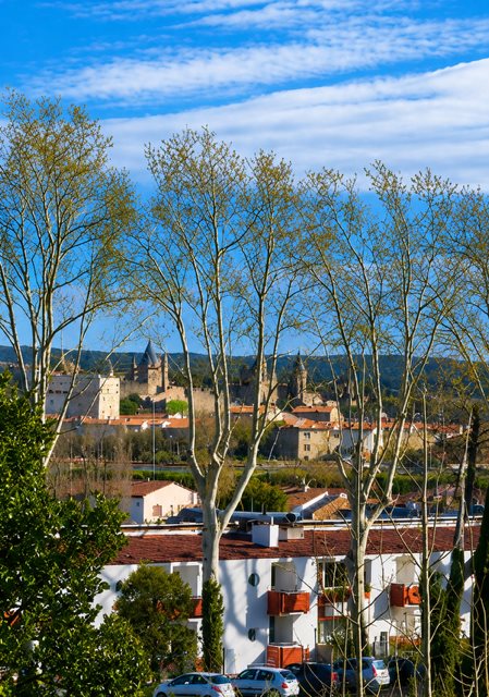 Maison – Carcassonne, La Trivalle, Aude - Vue 4