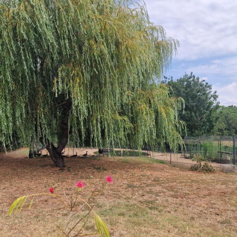 Maison à vendre, 130m², Marennes-Hiers-Brouage