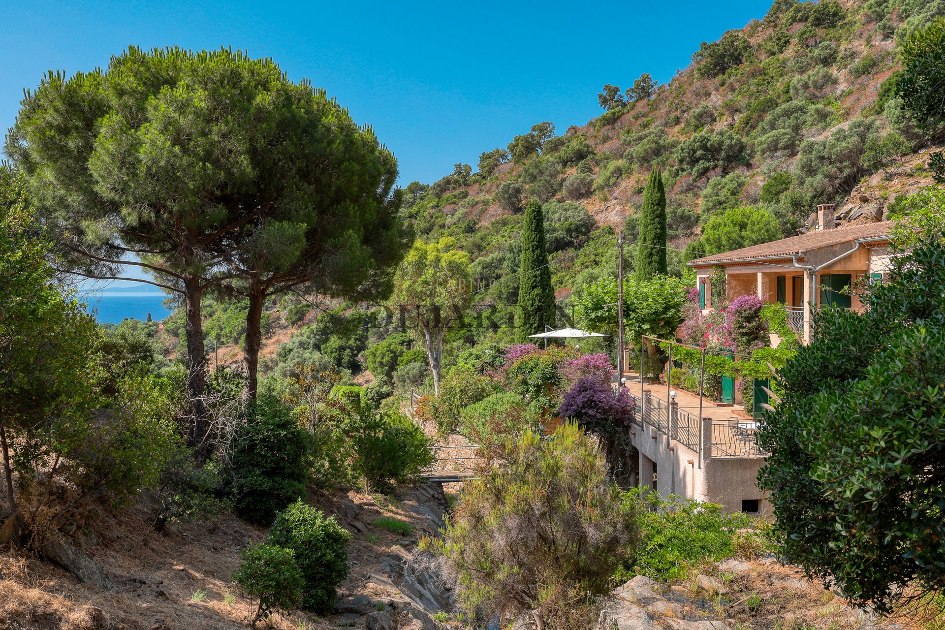 Maison à vendre, 245m², Le Lavandou
