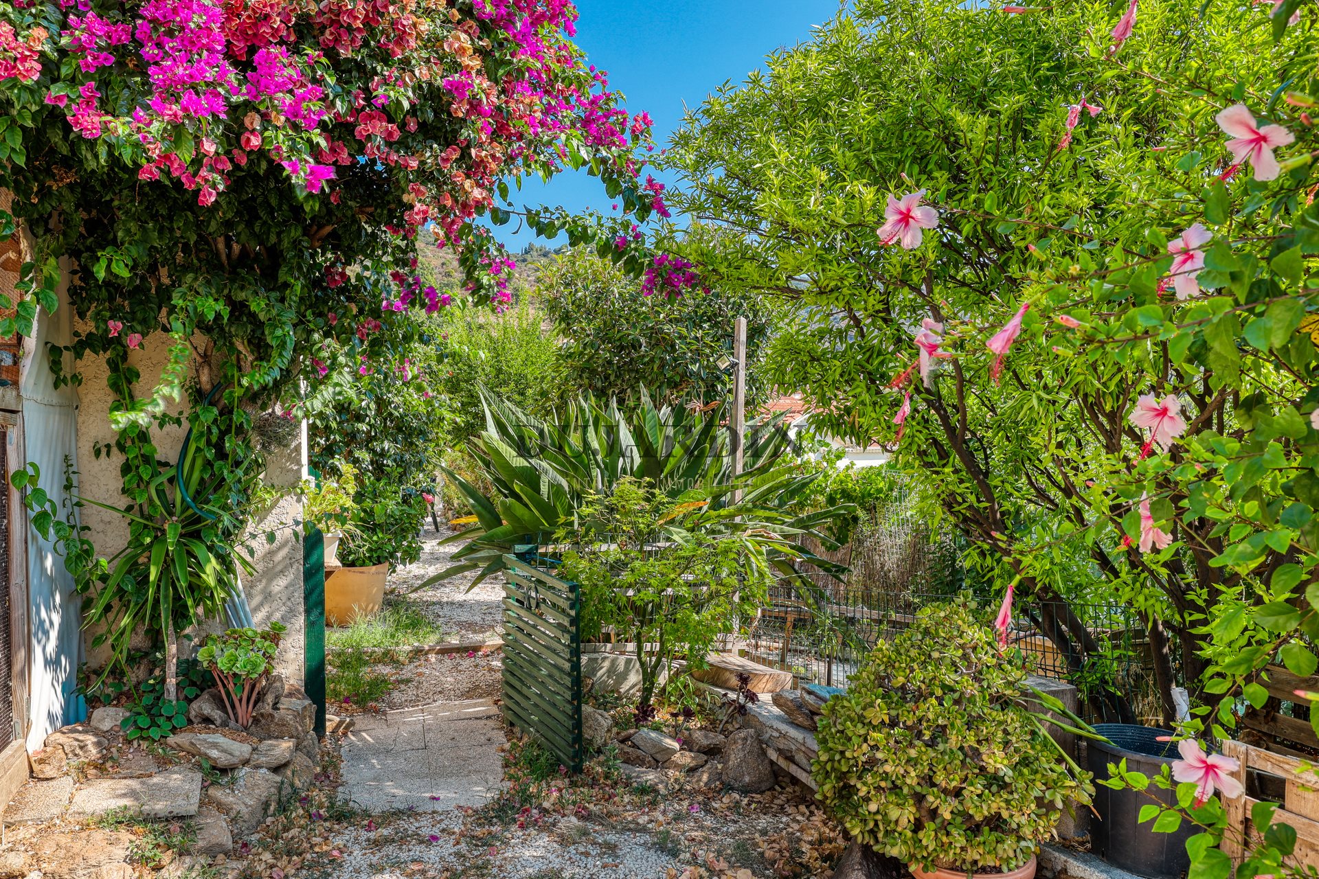Maison à vendre, 100m², Le Lavandou