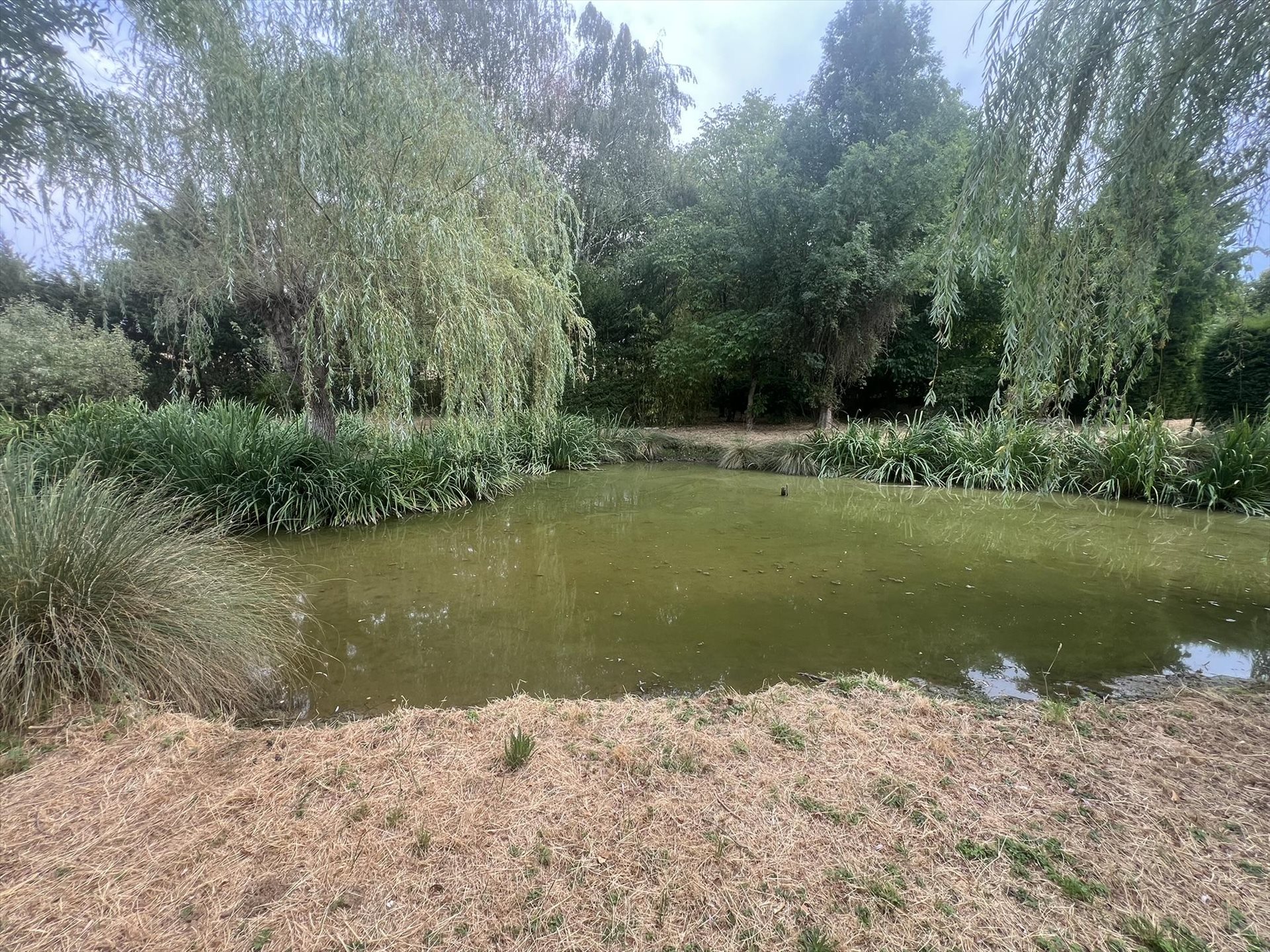 Maison à vendre, 189m², Vendenesse-lès-Charolles