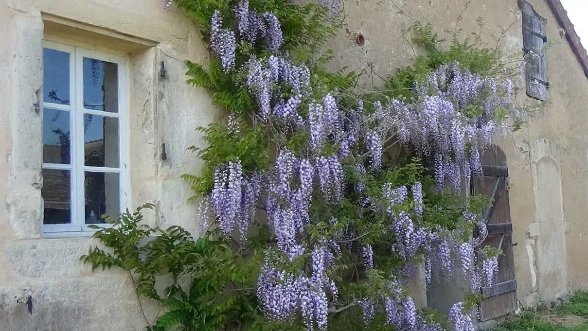 Maison à vendre, 180m², Perrecy-les-Forges