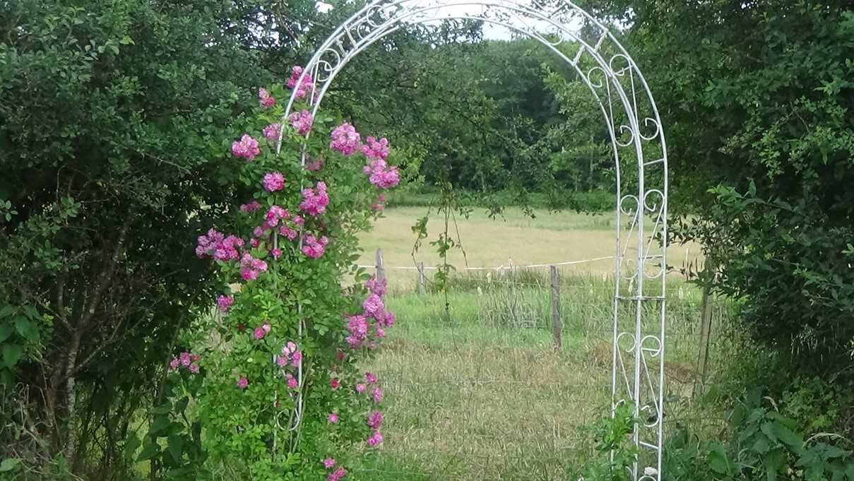 Maison à vendre, 180m², Perrecy-les-Forges