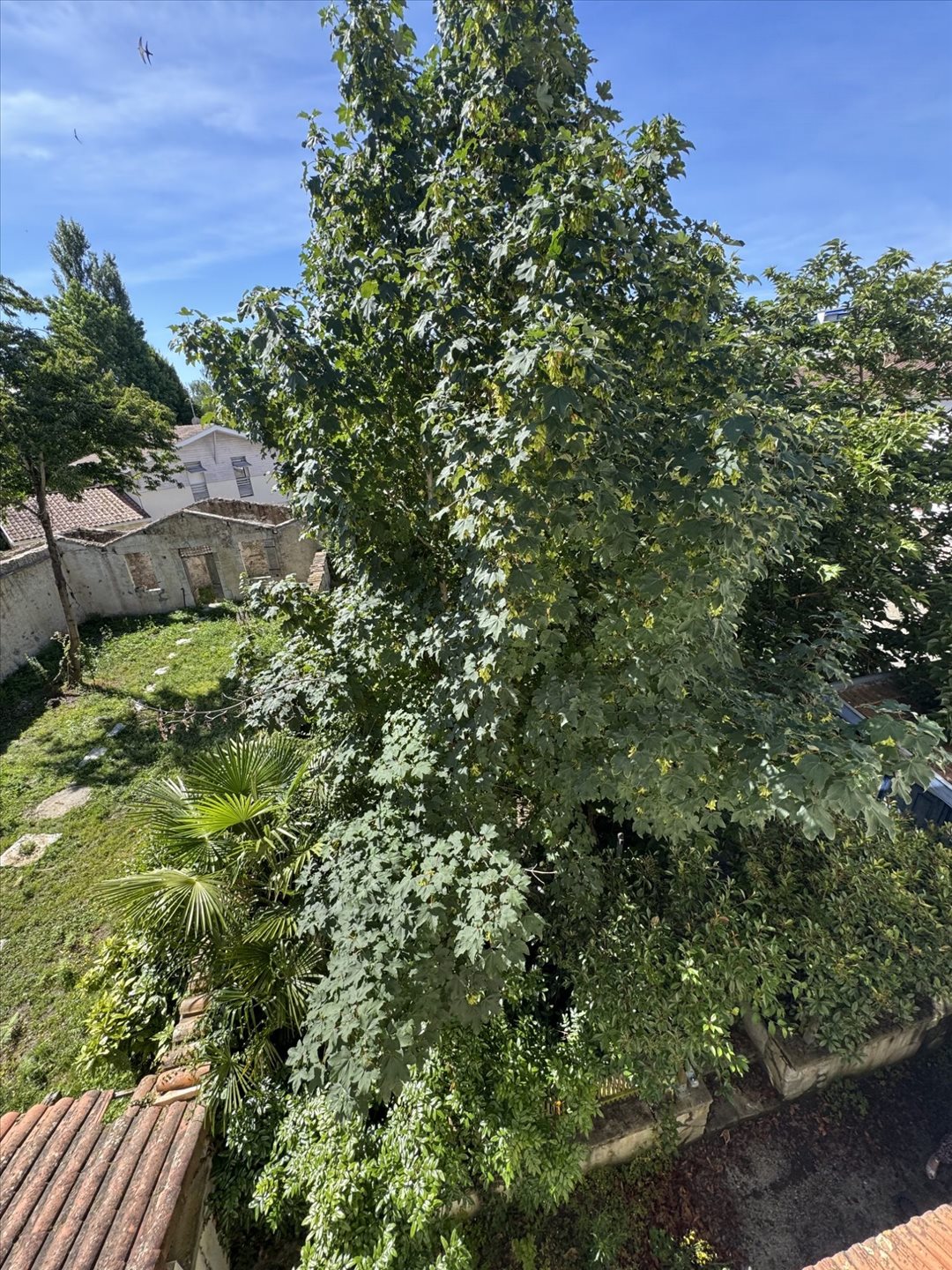 Appartement à vendre, 23m², Dax