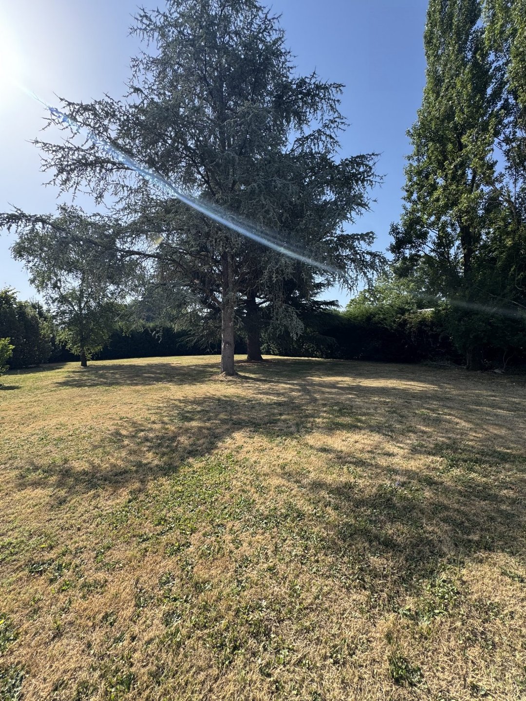 Maison à vendre, 250m², Vicq-d'Auribat