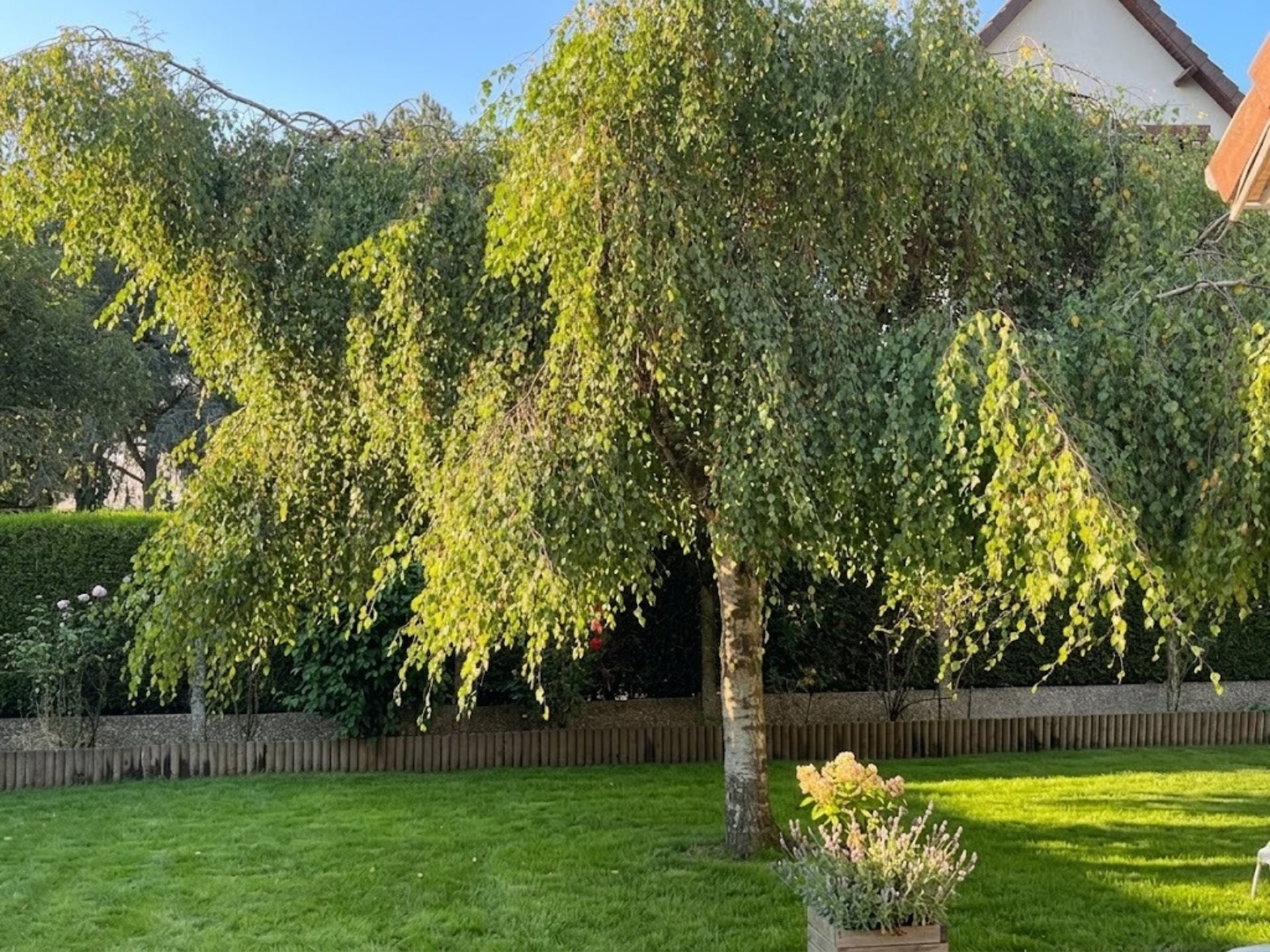 Maison à vendre, 105m², Mouen