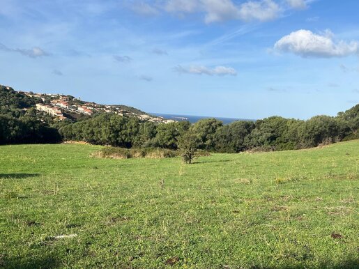 Terrain 803 m² · à Propriano · 220 000 €