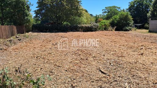 Terrain 393 m² · à Saint-André-des-Eaux · 393 m² · 129 000 €
