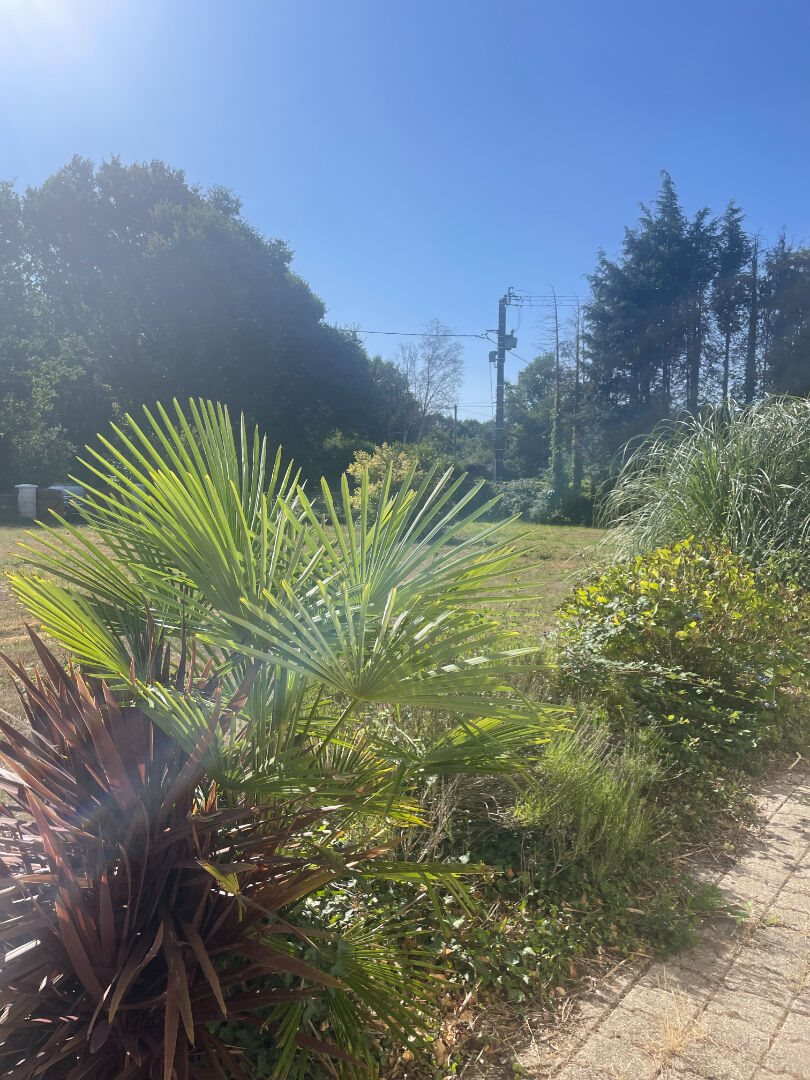 Maison à vendre, 100m², Vildé-Guingalan