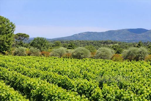 Maison 14 pièces 815 m² · à Le Cannet-des-Maures · 815 m² · 10 600 000 €