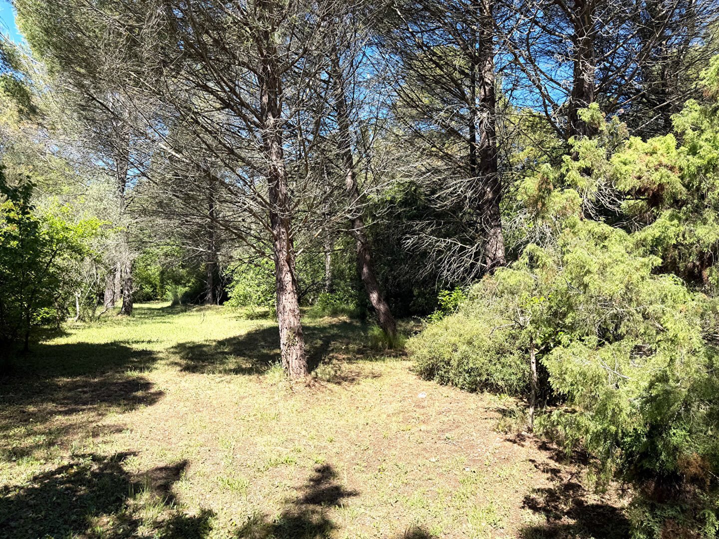 Maison à vendre, 162m², Forcalqueiret