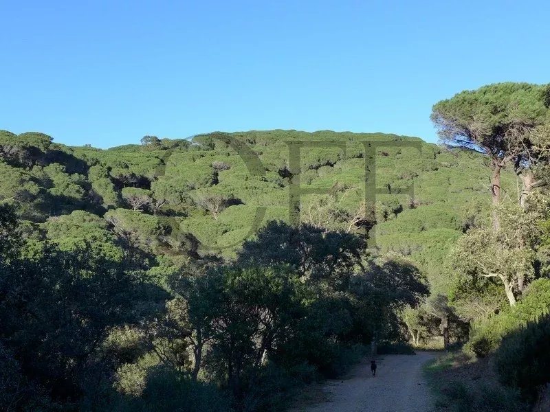 Maison à vendre, 374m², Ramatuelle