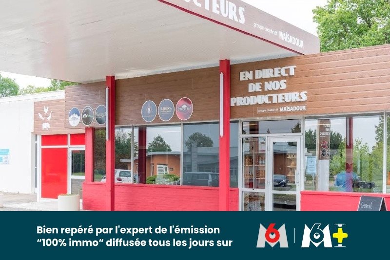 Maison à vendre, 350m², Aire-sur-l'Adour