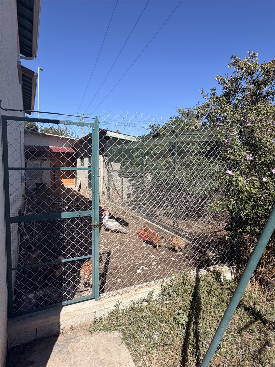 Maison à vendre, 90m², Roiffieux