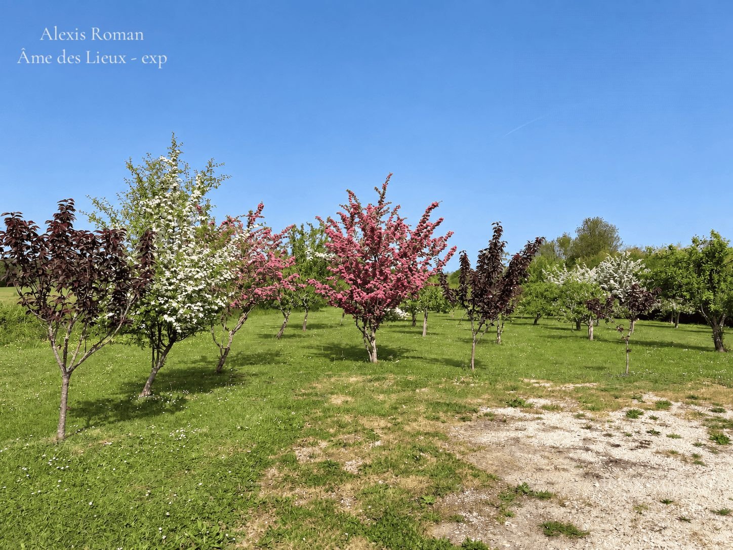 Maison à vendre, 111m², Villefranche-de-Lonchat