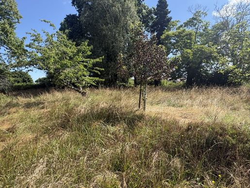 Terrain, terrain 2317 m² — Hinx (Landes) · 233 200 €
