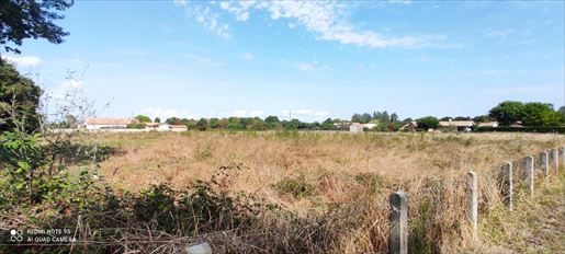 Terrain 1030 m² · à Le Teich · 1 030 m² · 220 000 €